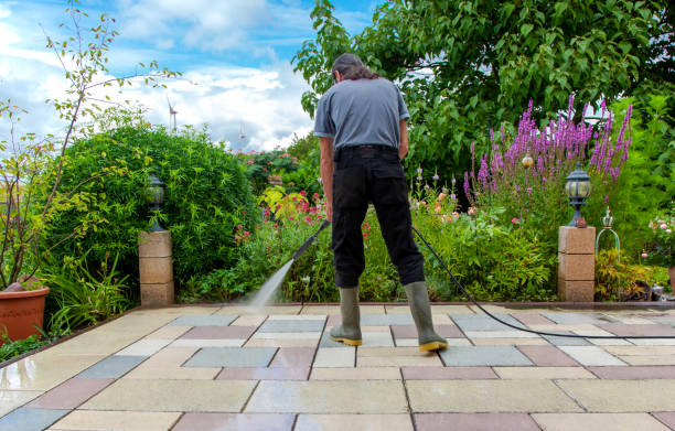 Best Fence Cleaning  in Pauls Valley, OK